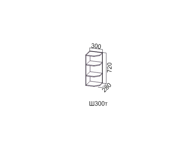Шкаф навесной Ш300т/720 (торцевой)